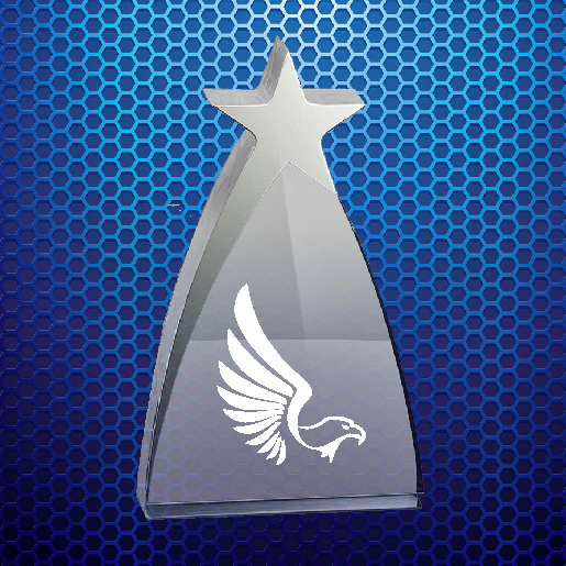 New Star Award