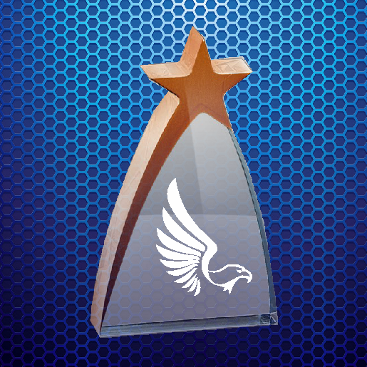 New Star Award