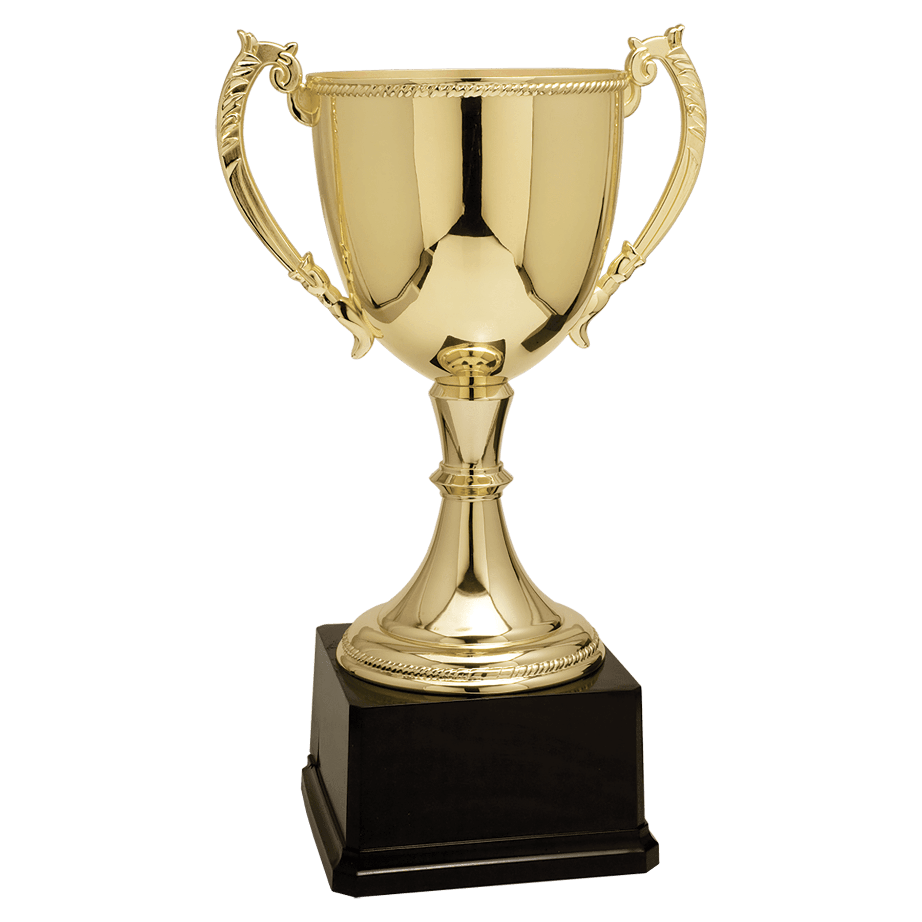 Zinc Gold Cup 18.25