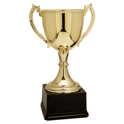 Zinc Gold Cup 18.25