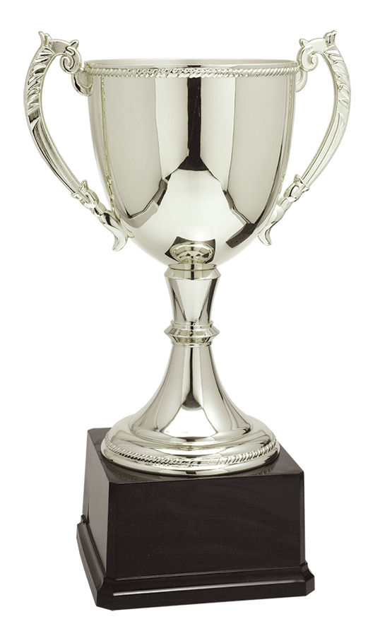 Silver trophy with wood base
